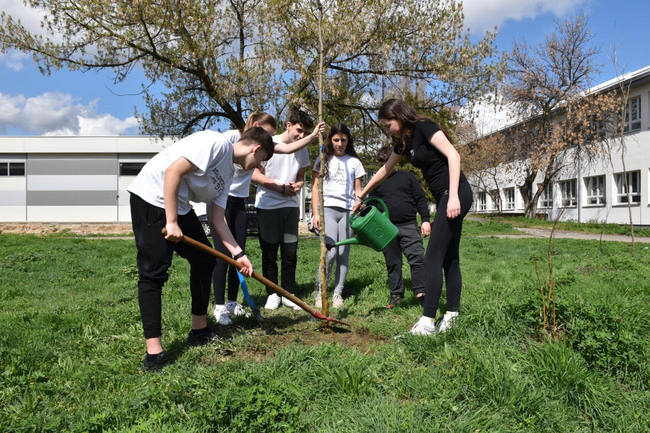 Students planting and watering a young tree on school grounds in North Macedonia